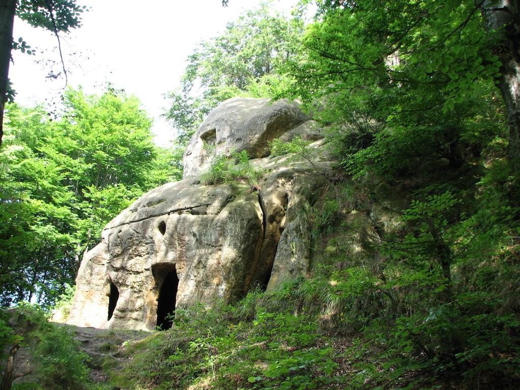 Holiday park Tsisarske Urochyshe Rozgirche
