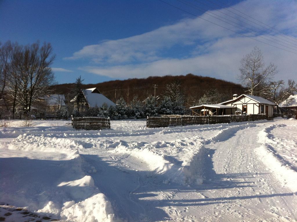 Holiday park Tsisarske Urochyshe Rozgirche