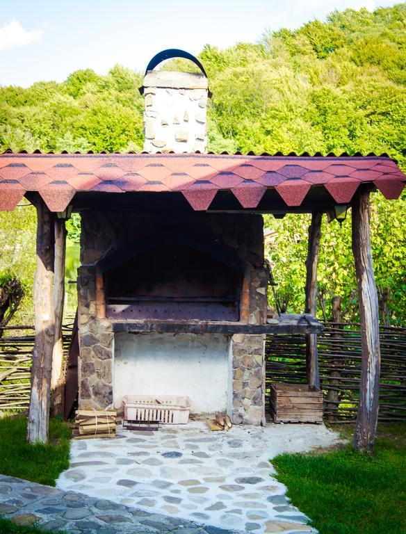 Holiday park Tsisarske Urochyshe Rozgirche