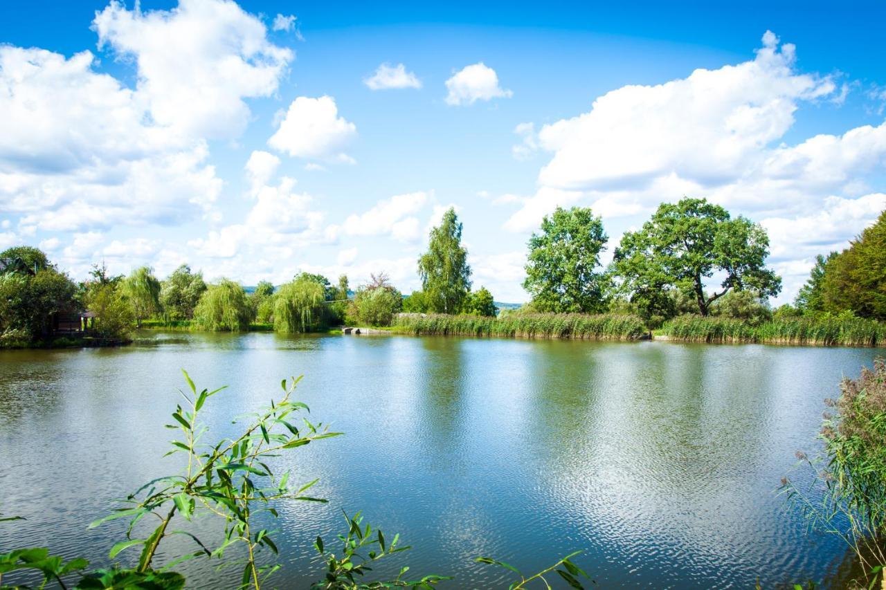 Holiday park Tsisarske Urochyshe Rozgirche