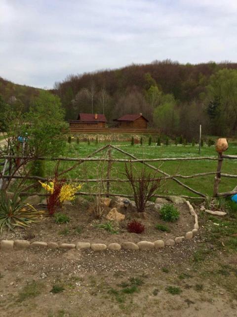 Tsisarske Urochyshe Holiday park *
